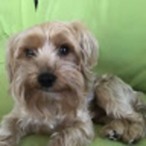 Meet your Posher, Best friends forever